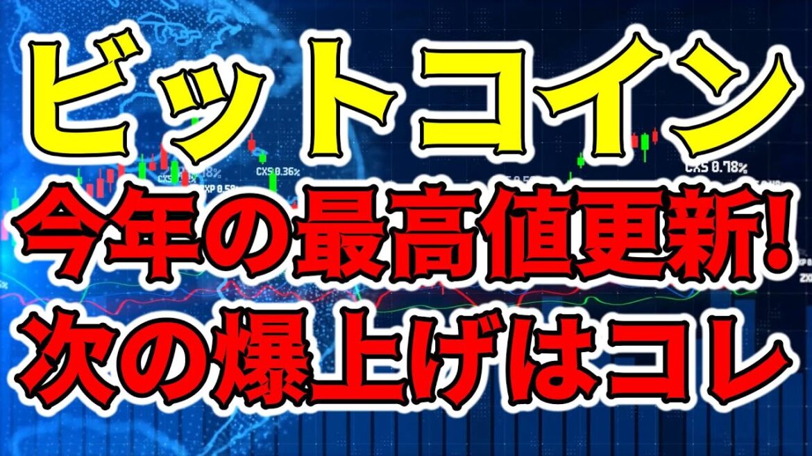 【仮想通貨 ビットコイン】今年最高値更新したBTCの次の爆上げを狙うならココに注目！（朝活配信1273日目 毎日相場をチェックするだけで勝率アップ）【暗号資産 Crypto】