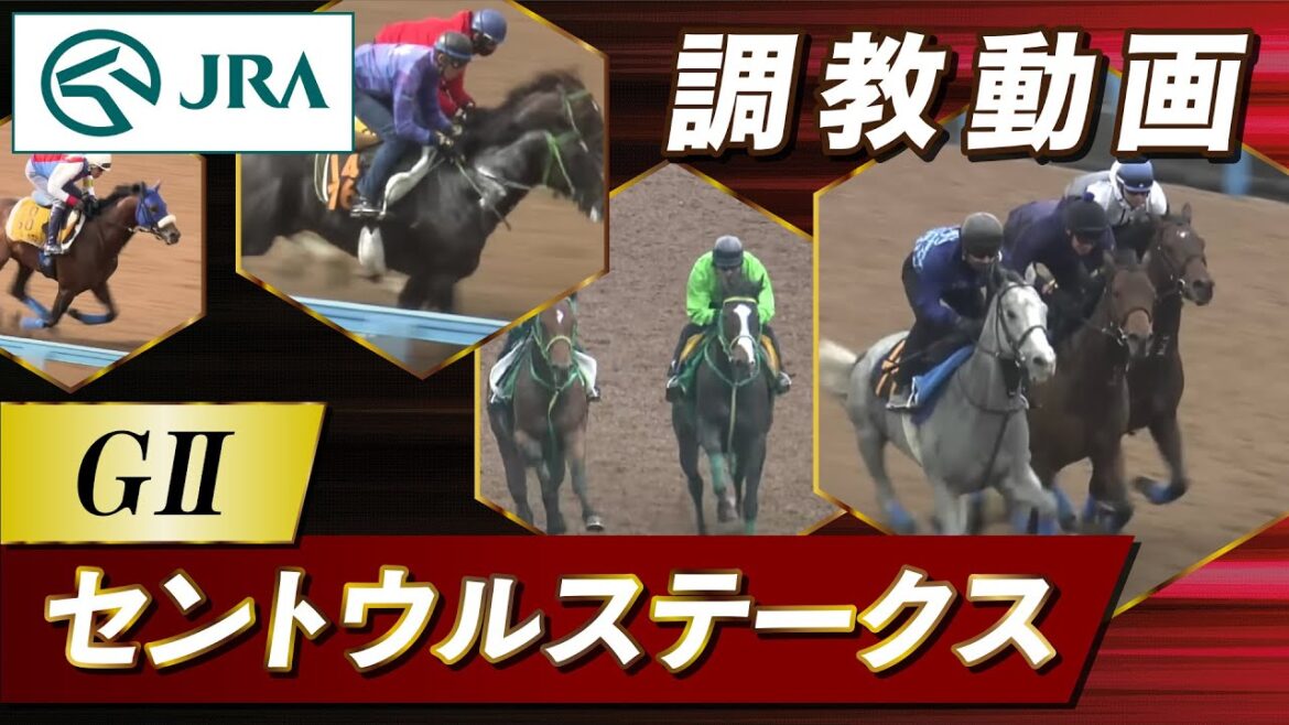 【調教動画】2023年 セントウルステークス｜JRA公式