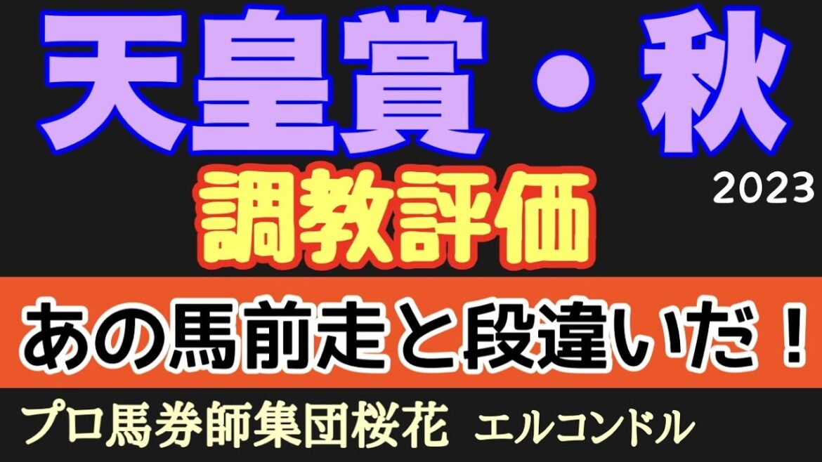 プロ馬券師集団桜花エルコンドル氏の天皇賞秋2023調教評価!!再戦で注目集める2頭の出来やいかに!各馬の動きに僅かな明暗の差が分かれるなか抜群の気配の馬も!? プロ馬券師集団桜花エルコンドル氏の天皇賞秋2023調教評価!!再戦で注目集める2頭の出来やいかに!各馬の動きに僅かな明暗の差が分かれるなか抜群の気配の馬も!?