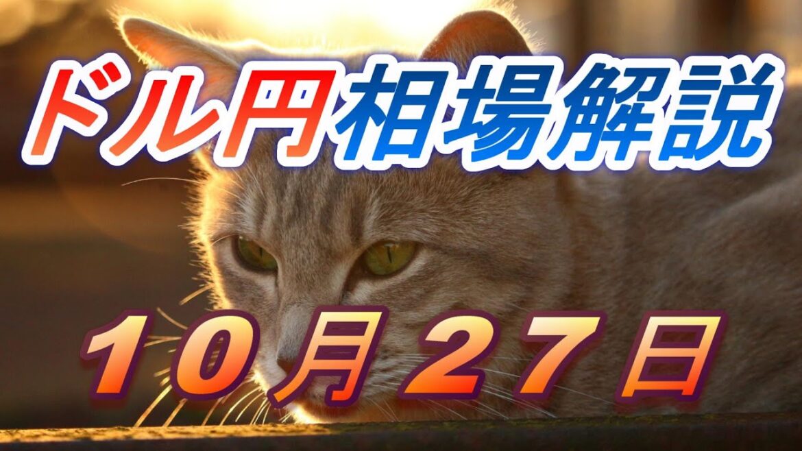 【TAKA FX】ドル円為替相場の前日の動きをチャートから解説。日経平均、NYダウ、金チャートも。10月27日