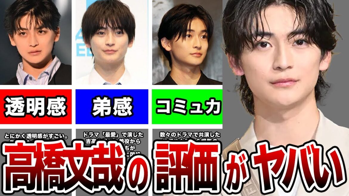 【国宝級イケメンランキングNEXT部門1位】高橋文哉の評価がヤバい