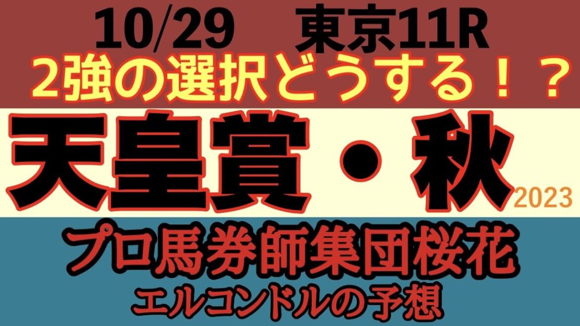 プロ馬券師集団桜花エルコンドル氏の天皇賞秋2023予想!!競馬ファン待望の2強の激突がいよいよ迫る!2強の選択が大きなポイント!どちらがこのレースに向き勝負度合いが高い!? プロ馬券師集団桜花エルコンドル氏の天皇賞秋2023予想!!競馬ファン待望の2強の激突がいよいよ迫る!2強の選択が大きなポイント!どちらがこのレースに向き勝負度合いが高い!?