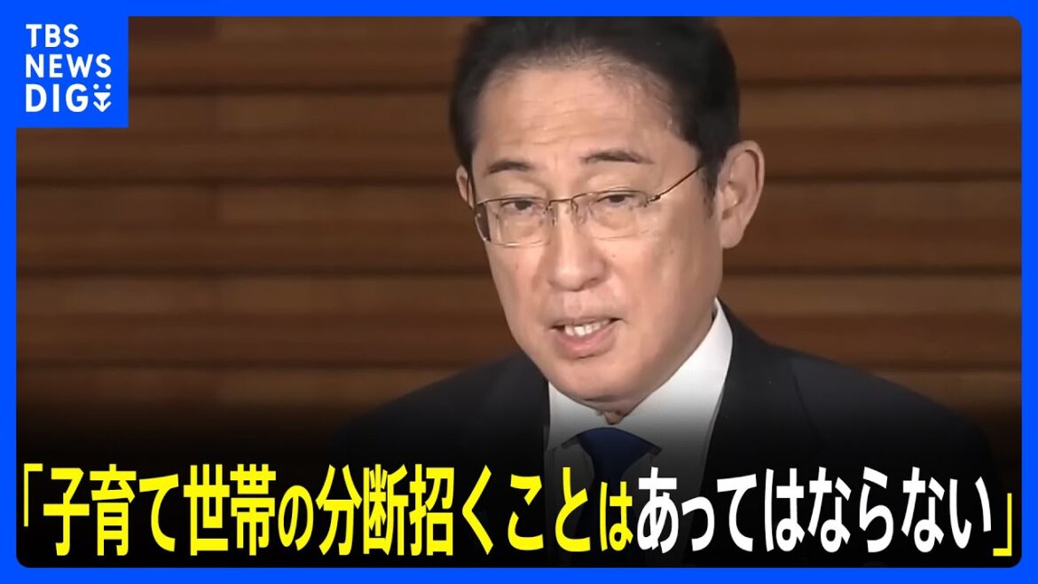 岸田総理　定額減税で「子育て世帯の分断招くことはあってはならない」｜TBS NEWS DIG