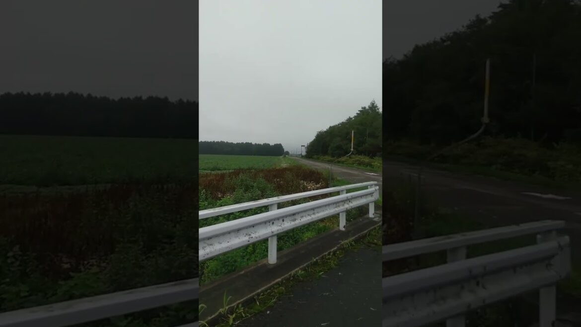230831 090349　花畑牧場の最初