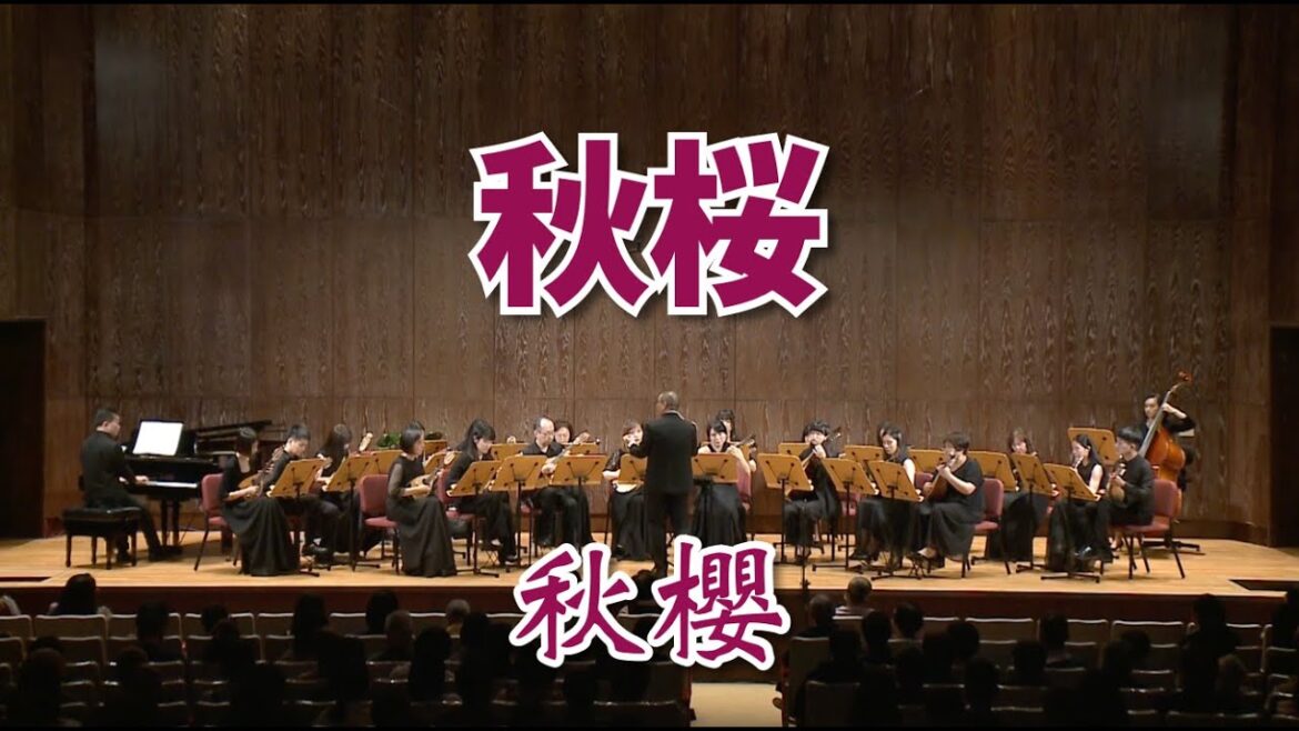《秋桜》：松任谷由実 曲｜原唱：山口百惠｜Taiwan Mandolin Ensemble｜✨那些年 阿公阿嬤的回憶