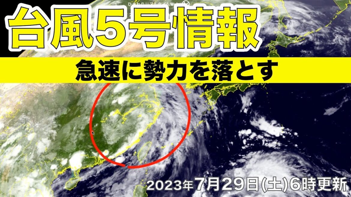 【台風情報】台風5号 急速に勢力を落とす（2023.7.29 6時更新）＜35＞