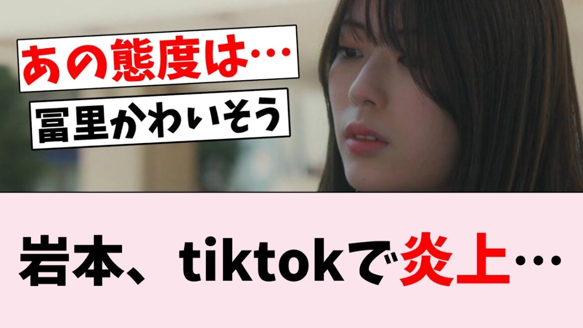 【悲報】岩本蓮加、なぜかtiktokで炎上してしまう…に対するオタの反応集