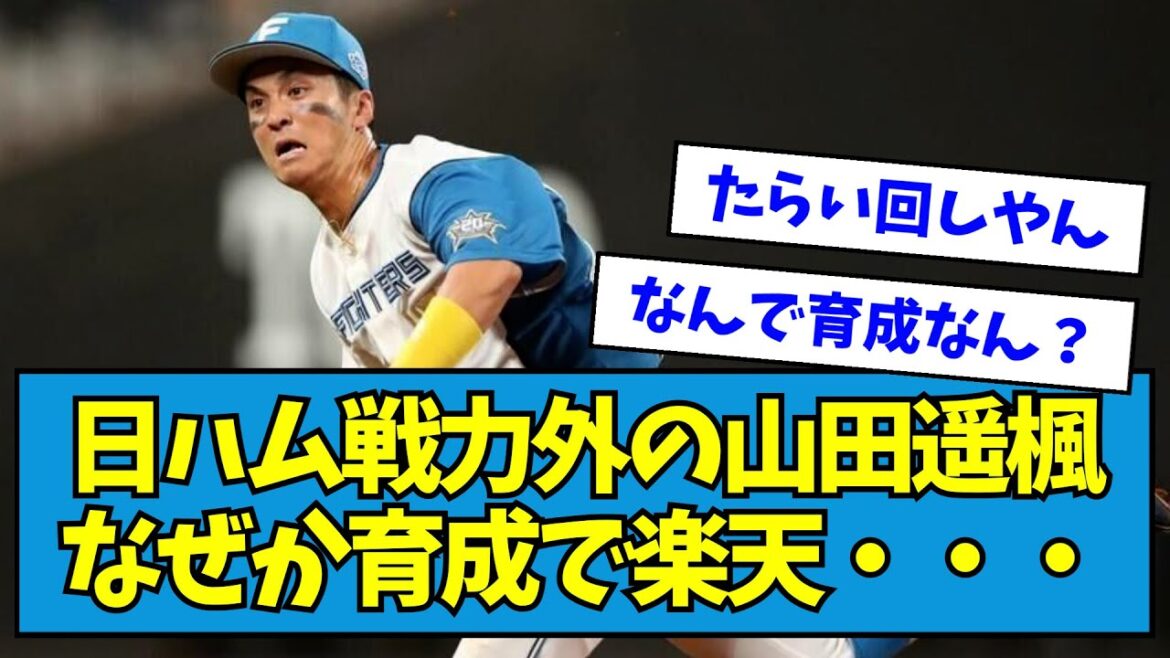 【戦力外】日ハム戦力外の山田遥楓なぜが育成で楽天が獲得へ・・・【なんJ反応】