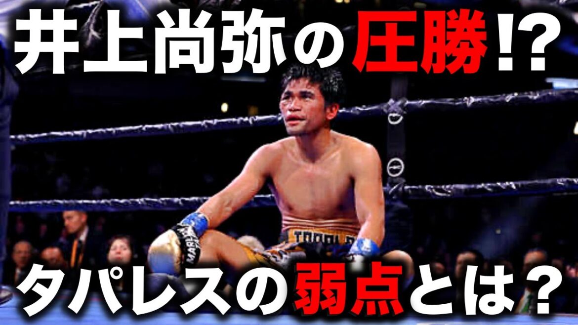 【楽勝？】タパレスの弱点から見る井上VSタパレスがヤバすぎた...