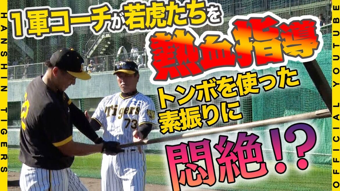 【熱血指導】#岡田彰布 監督をはじめ１軍首脳陣が『安芸キャンプ』に合流！打撃に守備に投球に、安芸タイガース球場の各所で熱血指導！球団初のリーグ連覇に向け、若虎たちの鍛錬の秋の様子をお届けします！
