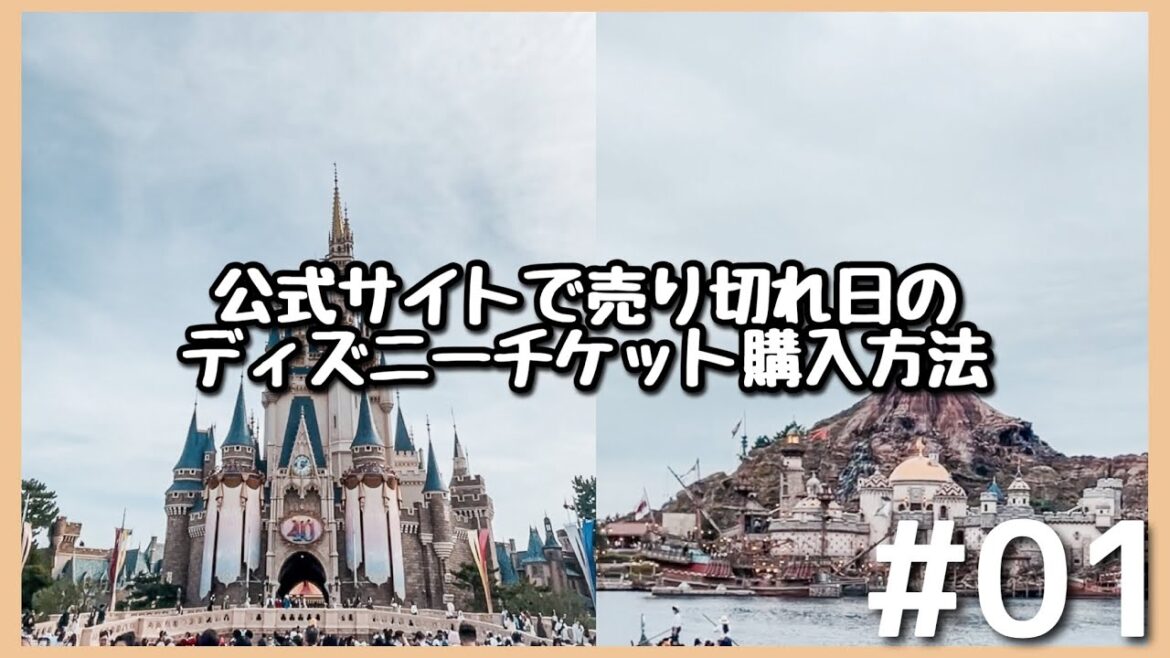 【裏ワザ？！】オンラインチケット売り切れ日のディズニーチケット購入方法 #01