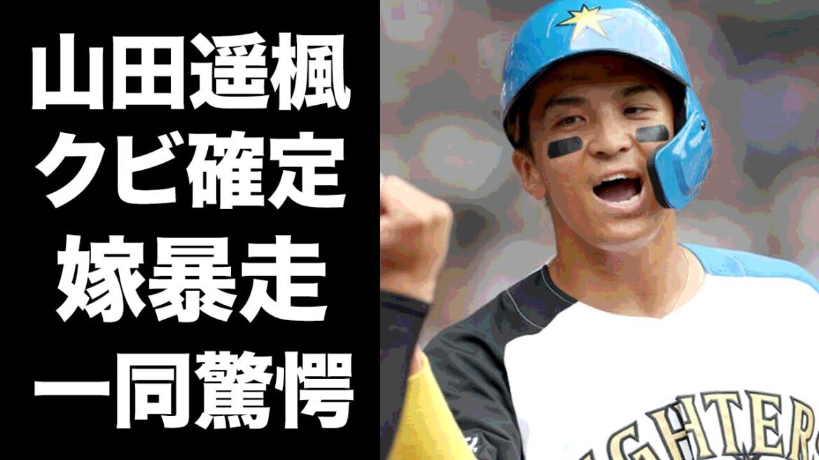 【驚愕】山田遥楓の嫁が暴走しまくった末路...日ハム戦力外の裏側がヤバい！源田壮亮事件から転落したプロ野球人生...狂妻家の全貌に恐怖した！