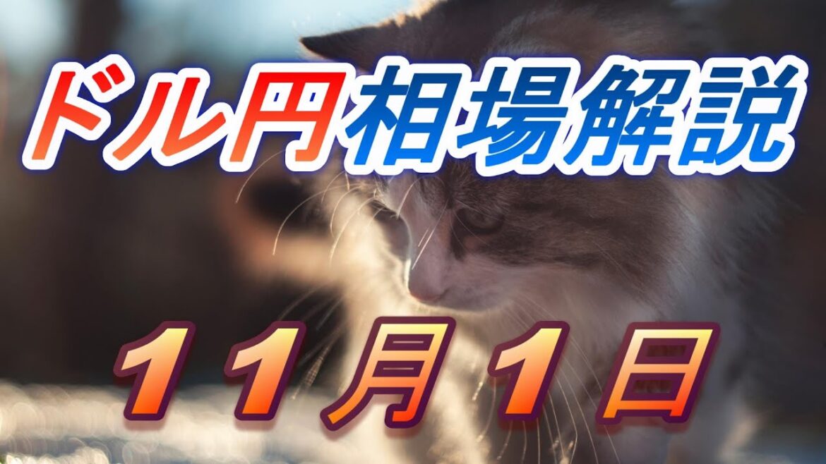 【TAKA FX】ドル円為替相場の前日の動きをチャートから解説。日経平均、NYダウ、金チャートも。11月1日