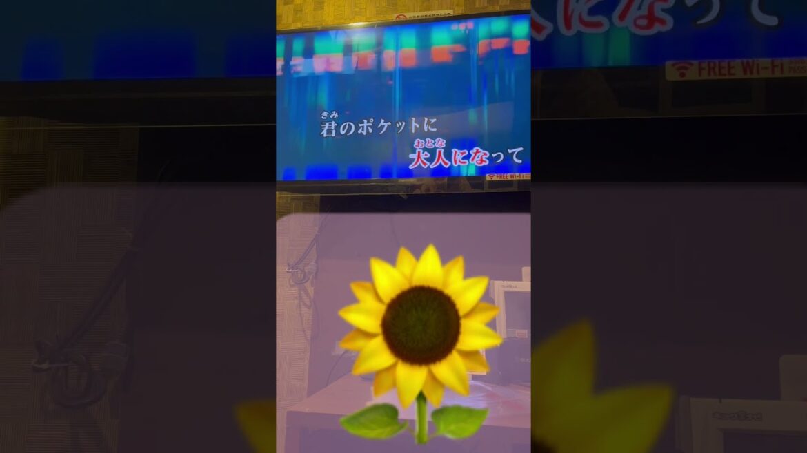 ただ君に晴れをうたいました #うたってみた #歌ってみた