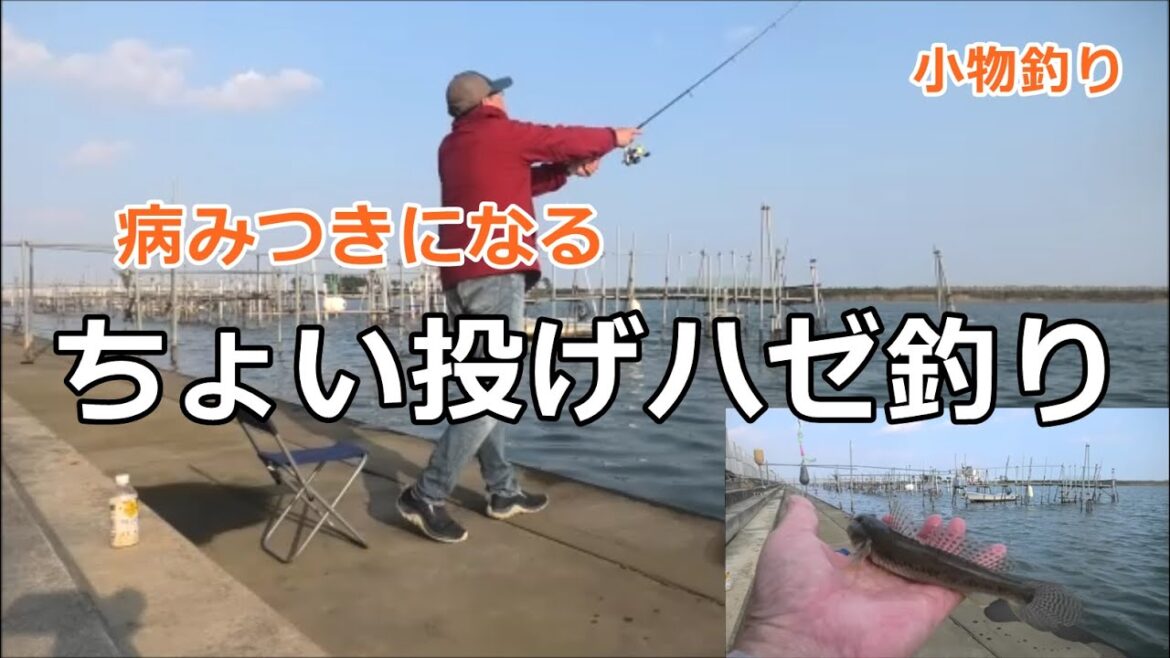 ちょい投げハゼ 釣り / 宮城県名取市閖上港のハゼ / ハゼ釣り / 小物釣り