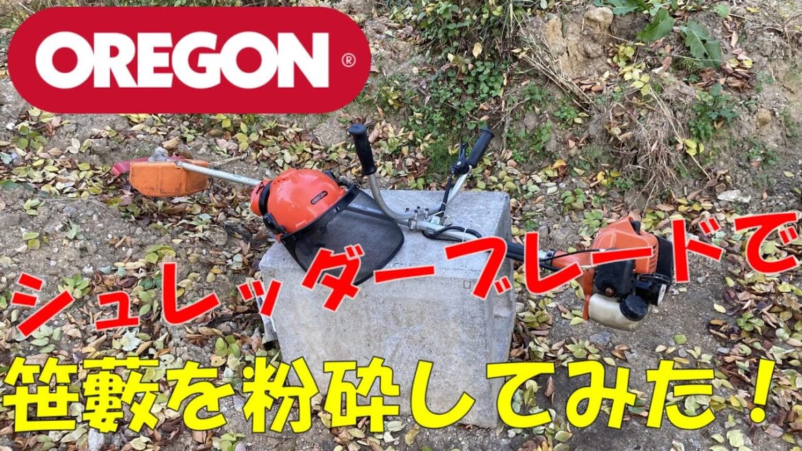 オレゴンシュレッダーブレードで笹藪を開拓してみた！
