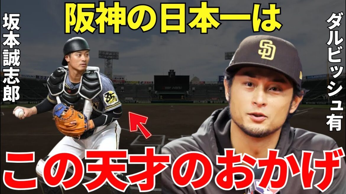 ダルビッシュ「映像でしか見たことはありませんが天才なのは明らかです」ダルビッシュにバッテリーを組みたいとまで言わしめた坂本誠志郎の天才性とは？