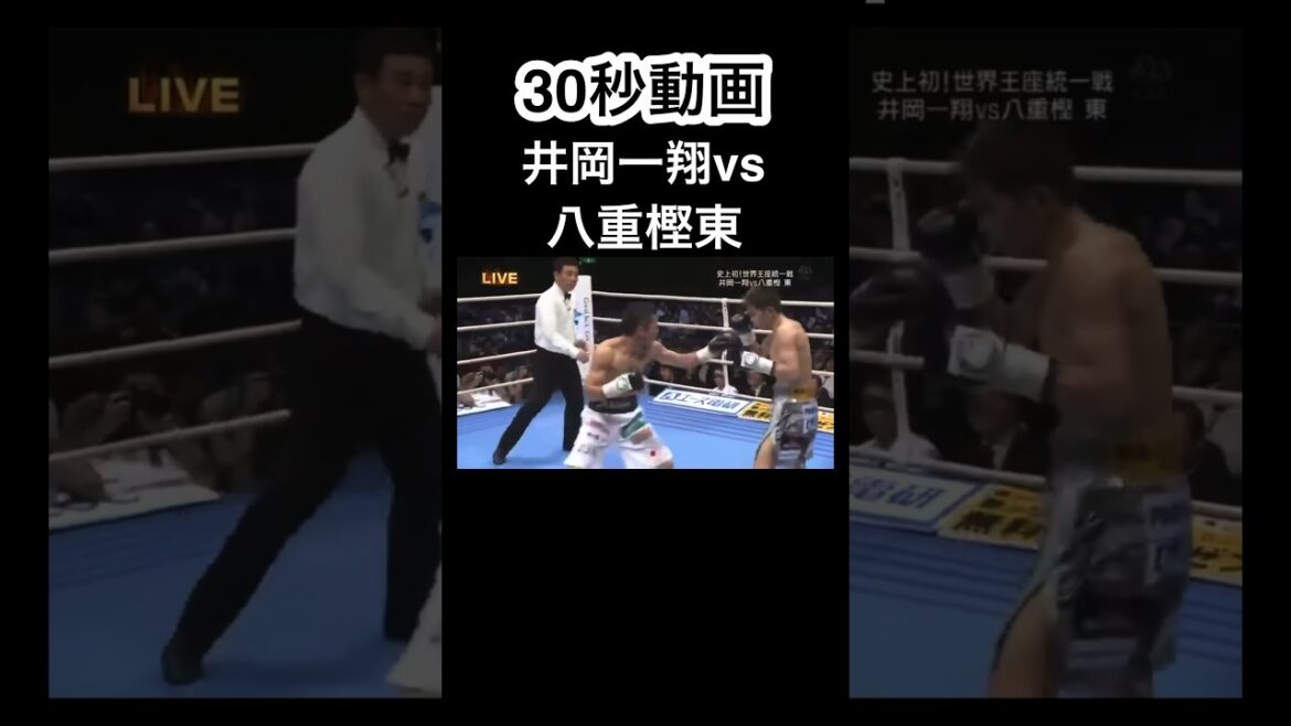 #ボクシング #世界戦 #ハイライト #判定 #井岡一翔 #八重樫東 #shorts