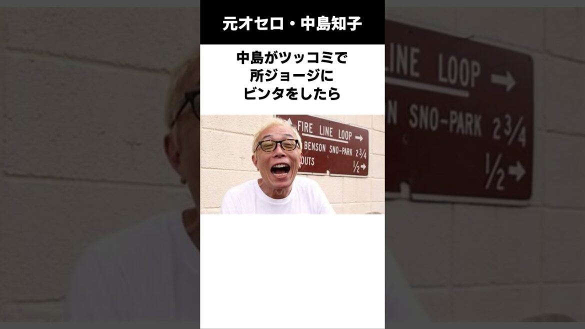 元オセロ中島に関する面白い雑学　　#芸人　#雑学 　 #オセロ 　#中島知子