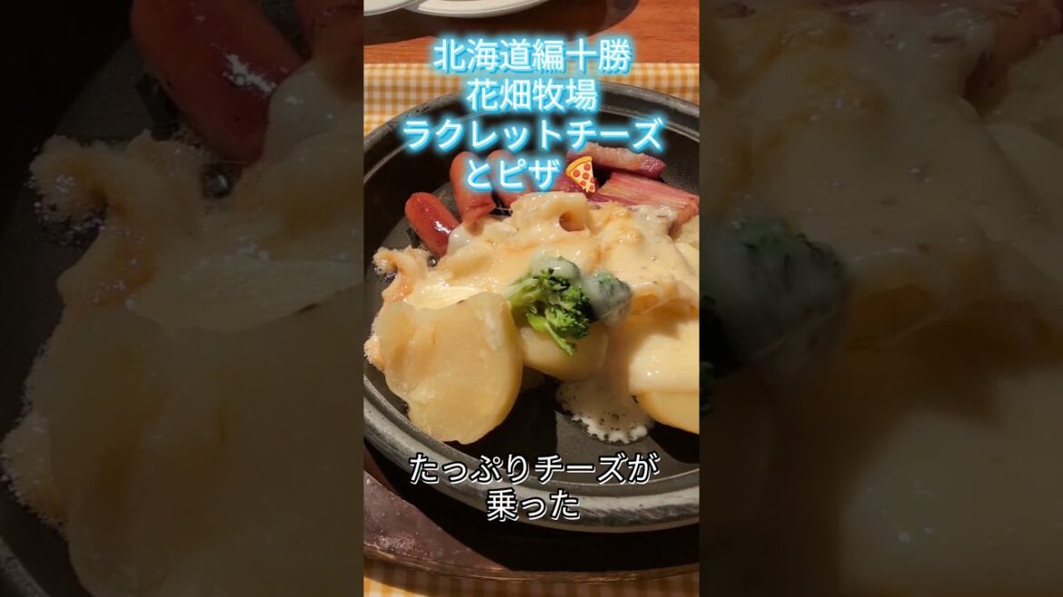 北海道編十勝の花畑牧場拉チーズとピザ🍕#北海道 #花畑牧場#チーズ