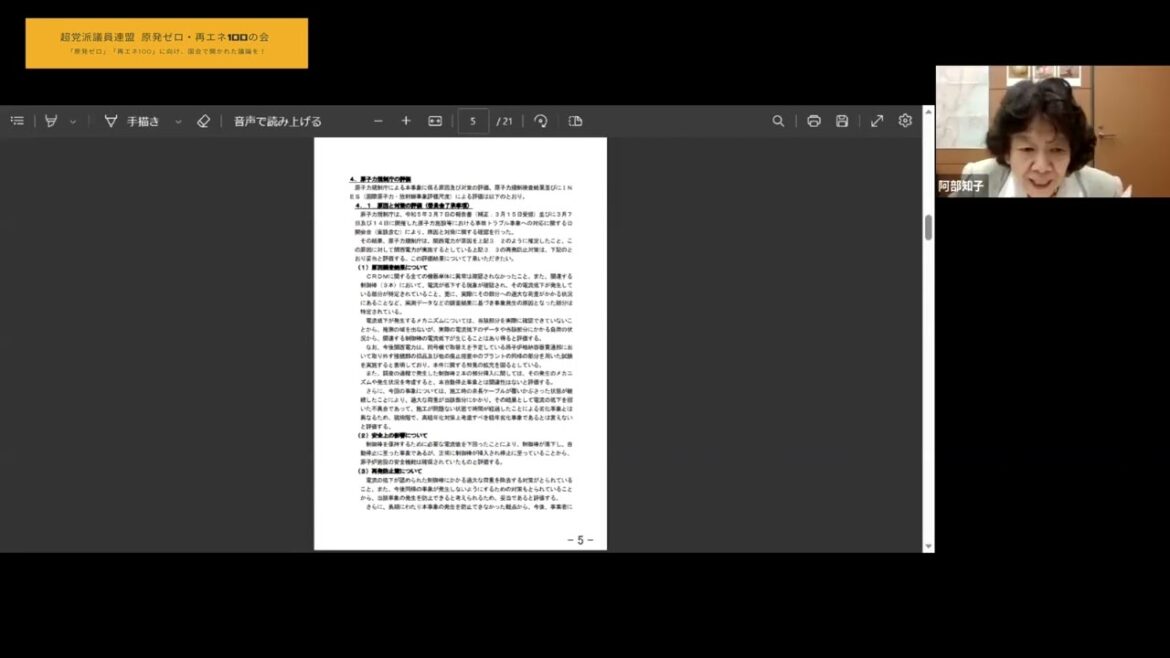 原発ゼロ・再エネ100の会第295回会合（拡大・世話人会議）