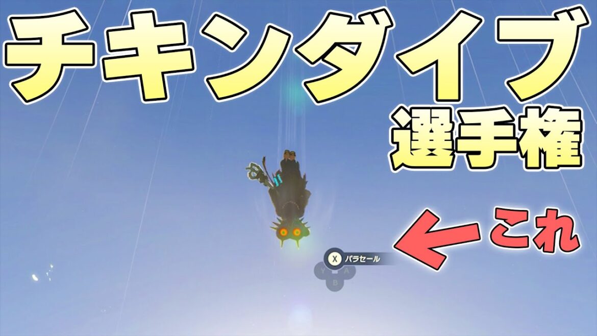 急降下中に1度も地表と高度を確認することなく地面ギリギリでパラセールを開くことはできるのか【ゼルダの伝説ティアーズオブザキングダム実況】