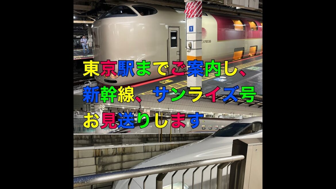東京駅までご案内し、新幹線、サンライズ号お見送りします