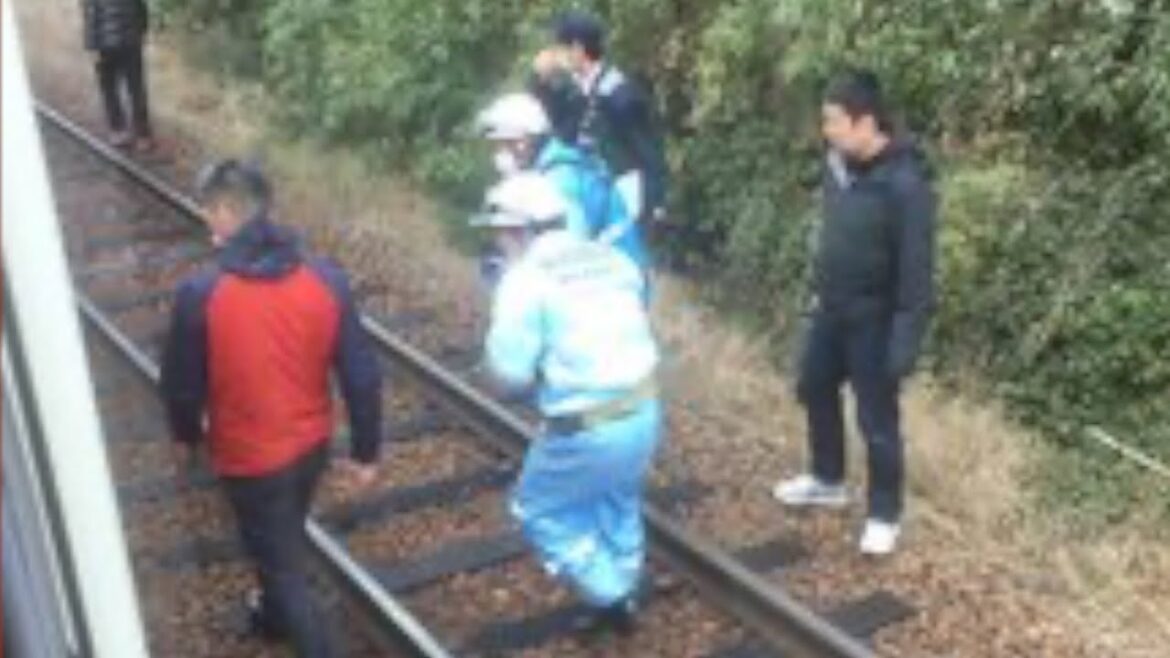 神戸電鉄の有馬口駅で人身事故が発生【リアルタイム速報】