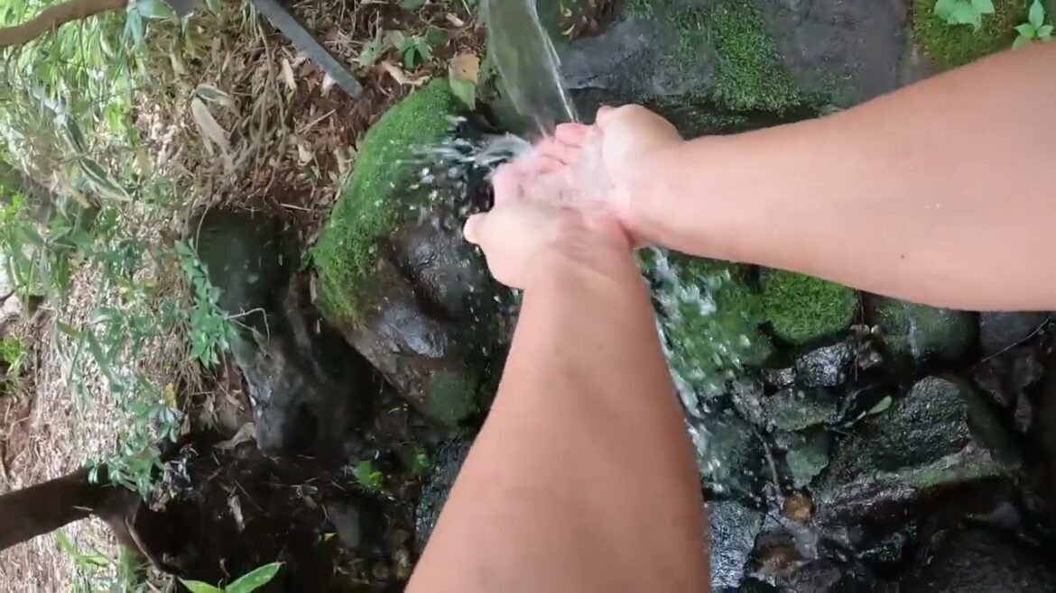 群馬県　割れた殺生石を見に行ったよ　鹿の湯も良かったよ。