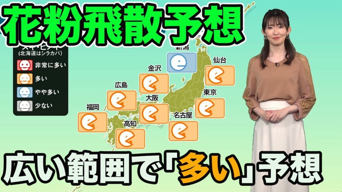 花粉飛散予報   広く「多い」予想 花粉飛散に注意