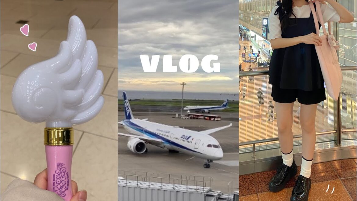 【vlog】岩橋玄樹くんのライブに行く日🎀/羽田空港✈️/たべっ子どうぶつのクッキーを焼く 【vlog】岩橋玄樹くんのライブに行く日🎀/羽田空港✈️/たべっ子どうぶつのクッキーを焼く
