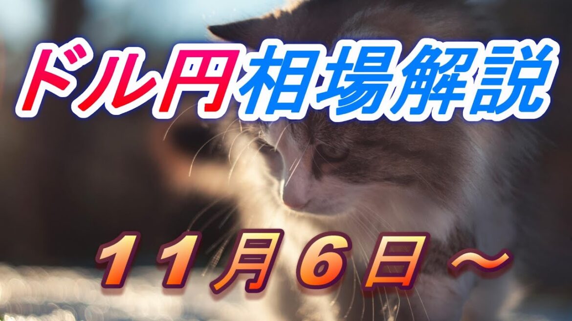 【TAKA FX】ドル円為替相場の今週の動きと来週の展望をチャートから解説。日経平均、NYダウ、金チャートも。11月6日～