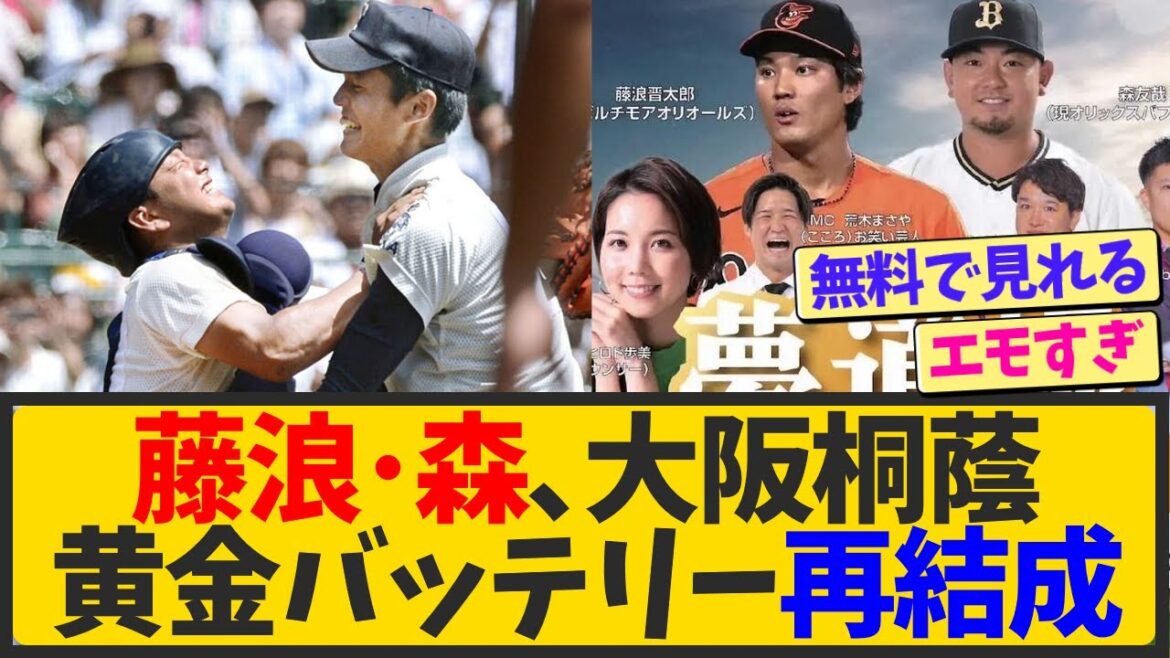 藤浪・森友哉の大阪桐蔭バッテリー、再結成するwwwww【なんJ反応 まとめ】【2ch 5ch】