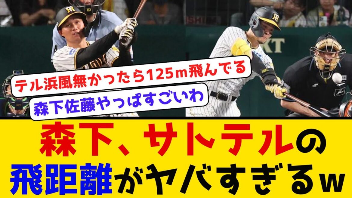 【衝撃】森下、サトテルの飛距離がヤバすぎるw #阪神タイガース #森下翔太 #佐藤輝明 #ホームラン #タイムリー #侍ジャパン