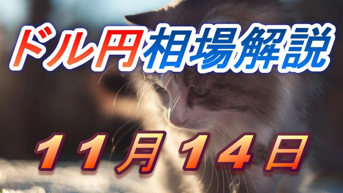 【TAKA FX】ドル円為替相場の前日の動きをチャートから解説。日経平均、NYダウ、金チャートも。11月14日