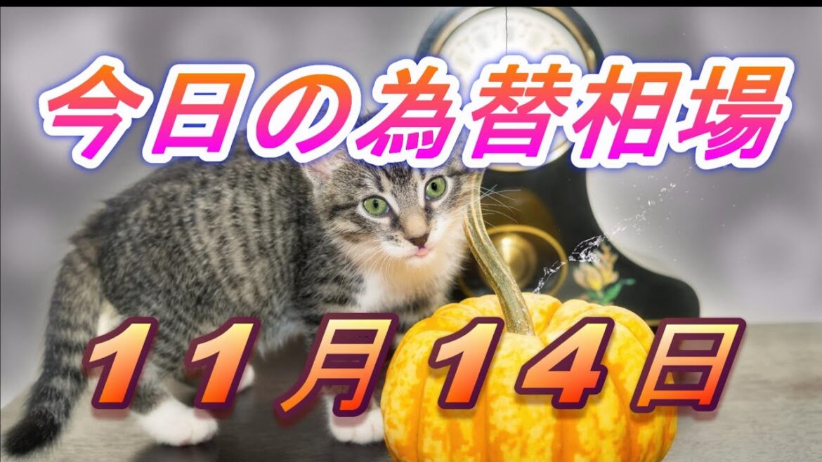 【TAKA FX】ドル、円、ユーロ、ポンド、豪ドルの為替相場の前日の動きをチャートから解説。11月14日 【TAKA FX】ドル、円、ユーロ、ポンド、豪ドルの為替相場の前日の動きをチャートから解説。11月14日