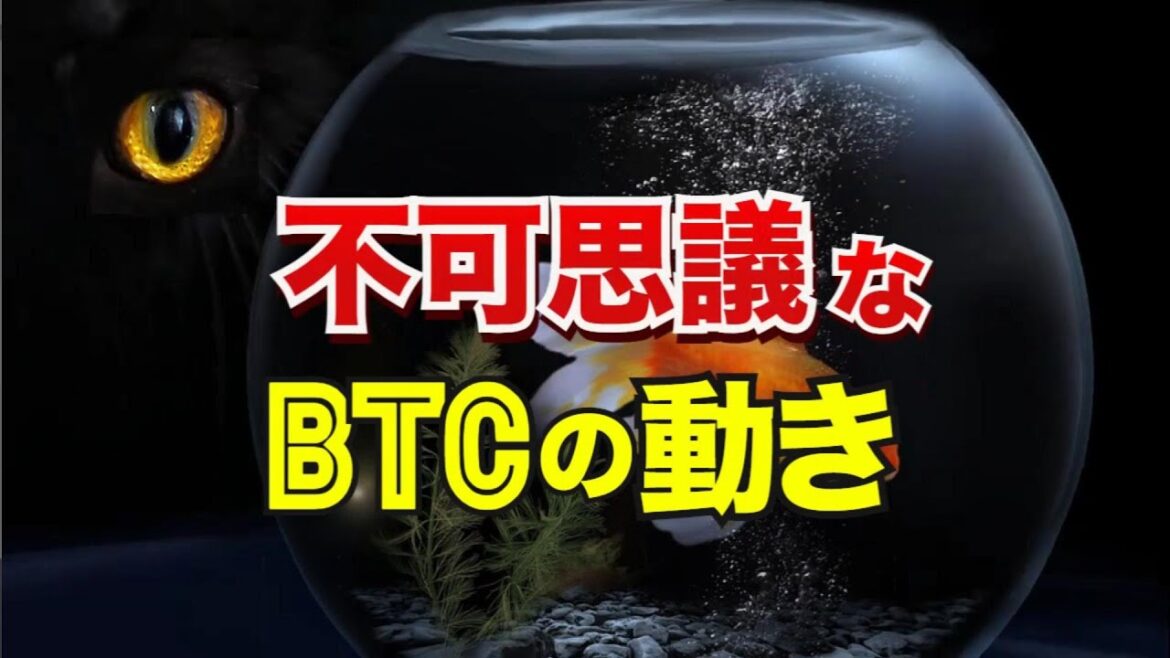 不可思議なビットコインの動き