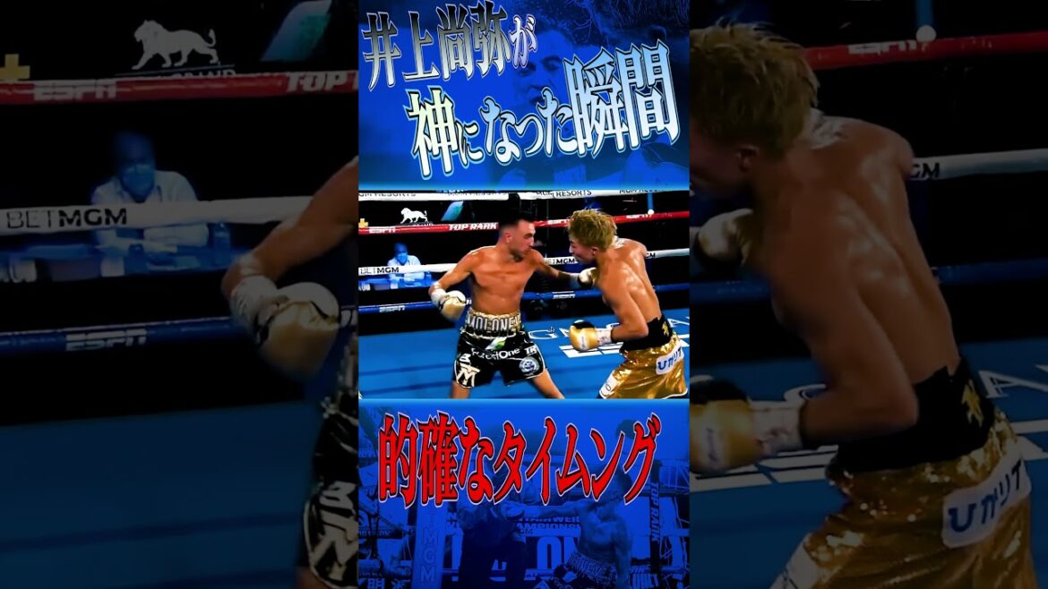 井上尚弥のタイミングが抜群すぎる!  #井上尚弥 #boxing #ボクシング 井上尚弥のタイミングが抜群すぎる!  #井上尚弥 #boxing #ボクシング