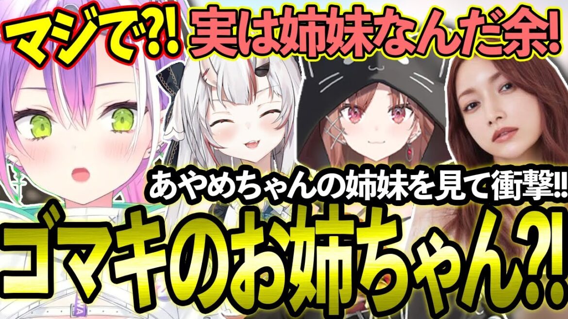 案件中にあやめちゃんがゴマキのお姉ちゃんである事を知り驚きまくるトワ様w【ホロライブ/常闇トワ百鬼あやめ/切り抜き】【ぶいごま/後藤真希】【カグラナナ】
