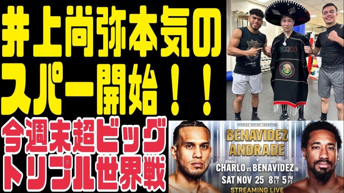 井上尚弥新パートナーとスパーリング開始、【トリプル世界戦】ベナビデスvsアンドラーデ