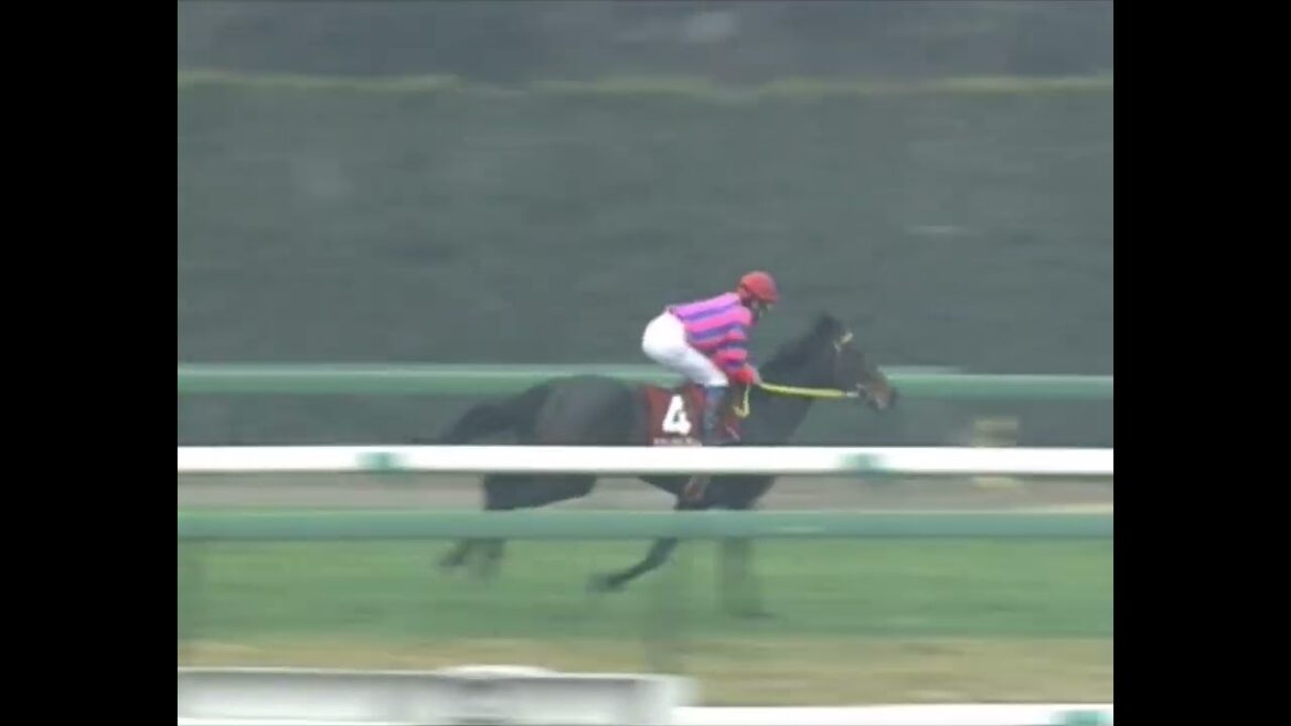 アドマイヤベガ 1999年 第36回報知杯弥生賞(GII)  (優勝馬：ナリタトップロード)