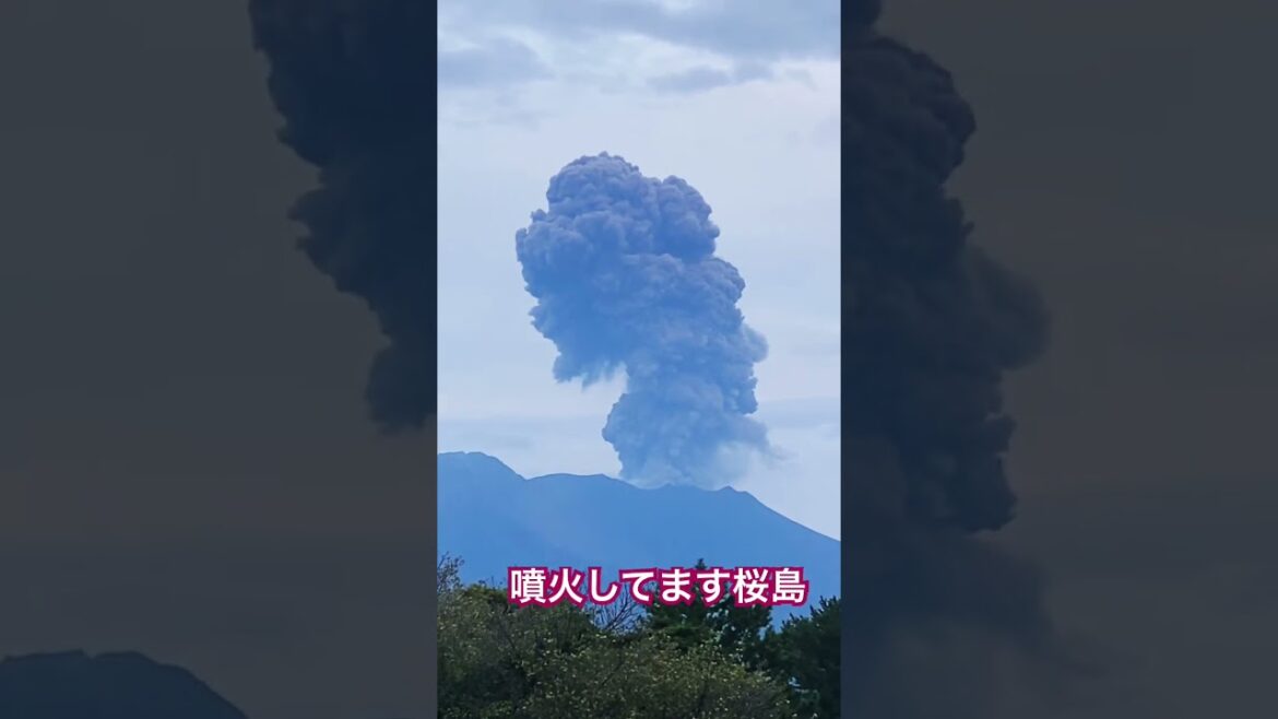 今日も元気な桜島 R5.10.14 #鹿児島 #桜島 #火山 #噴火 #桜島噴火 #かごしま #火山灰 #さくらじま #桜島フェリー #鹿児島旅行