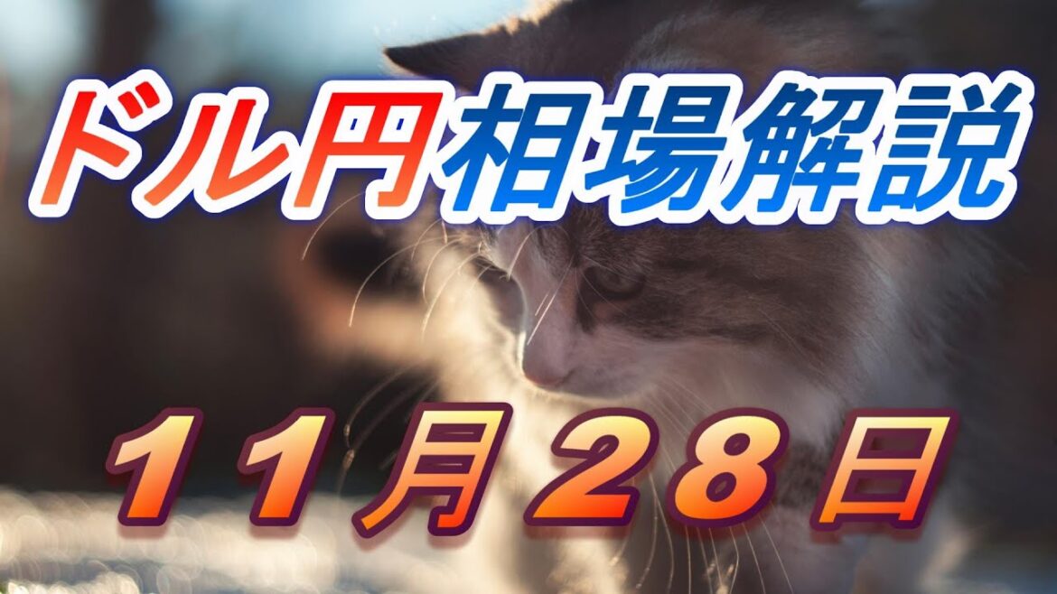 【TAKA FX】ドル円為替相場の前日の動きをチャートから解説。日経平均、NYダウ、金チャートも。11月28日