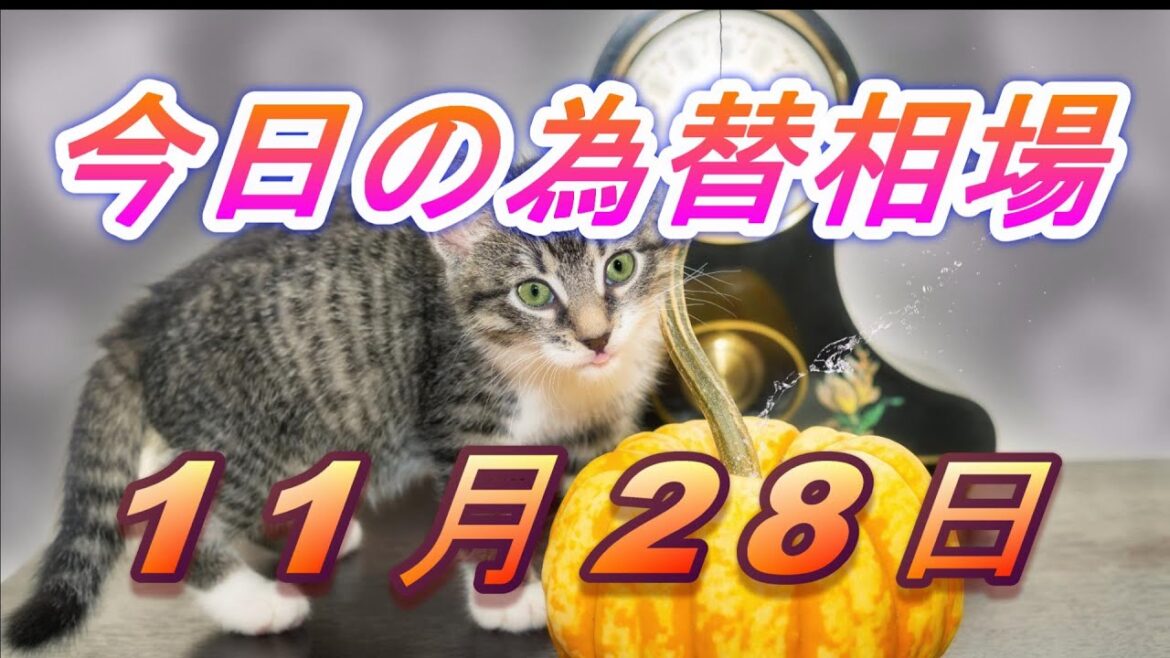 【TAKA FX】ドル、円、ユーロ、ポンド、豪ドルの為替相場の前日の動きをチャートから解説。11月28日