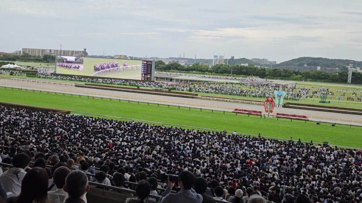 第137回目黒記念2023