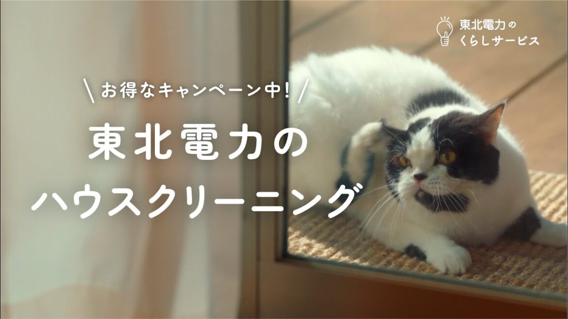 「東北電力　ハウスクリーニングCP」篇（15秒）