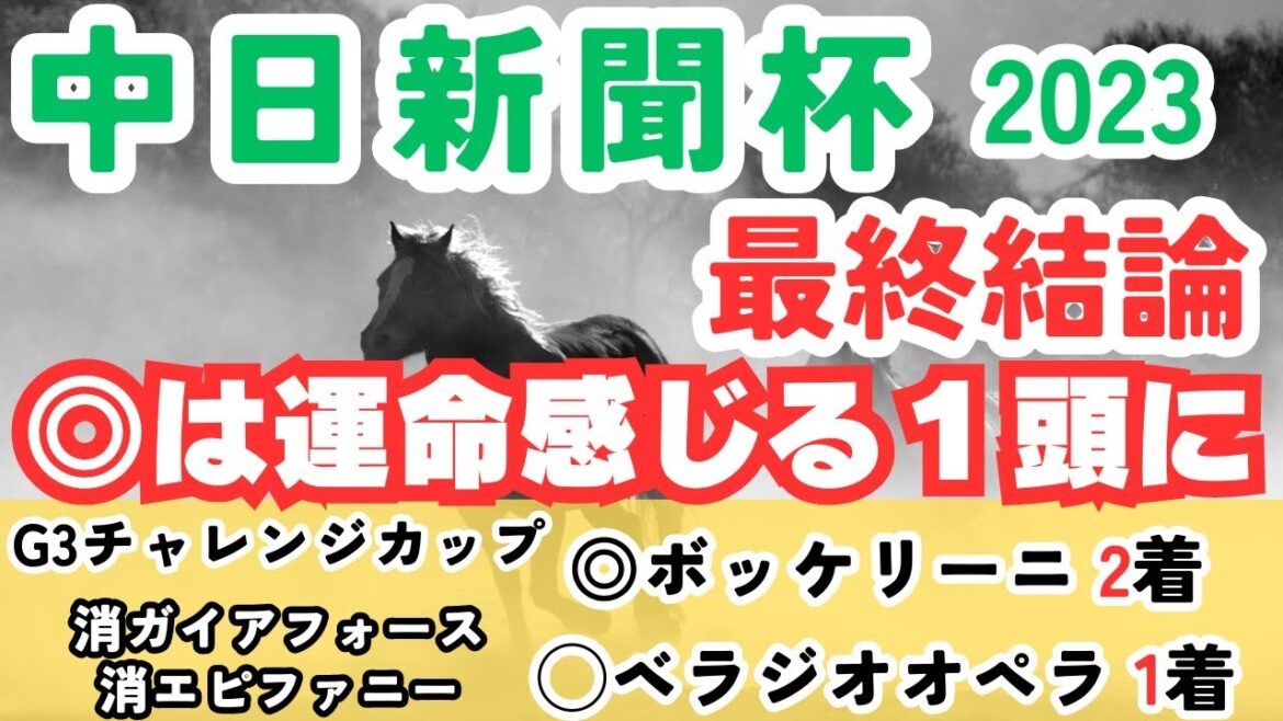 【中日新聞杯2023】本命は運命感じる１頭！人気馬もバッサリいきます。【最終結論】