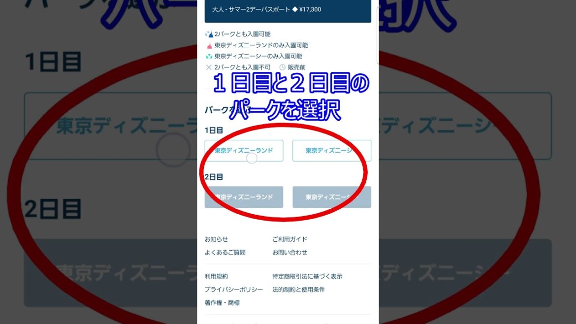 【初めての方必見】ディズニーチケット、サマー２デーパスポート購入手順を分かりやすくご紹介！