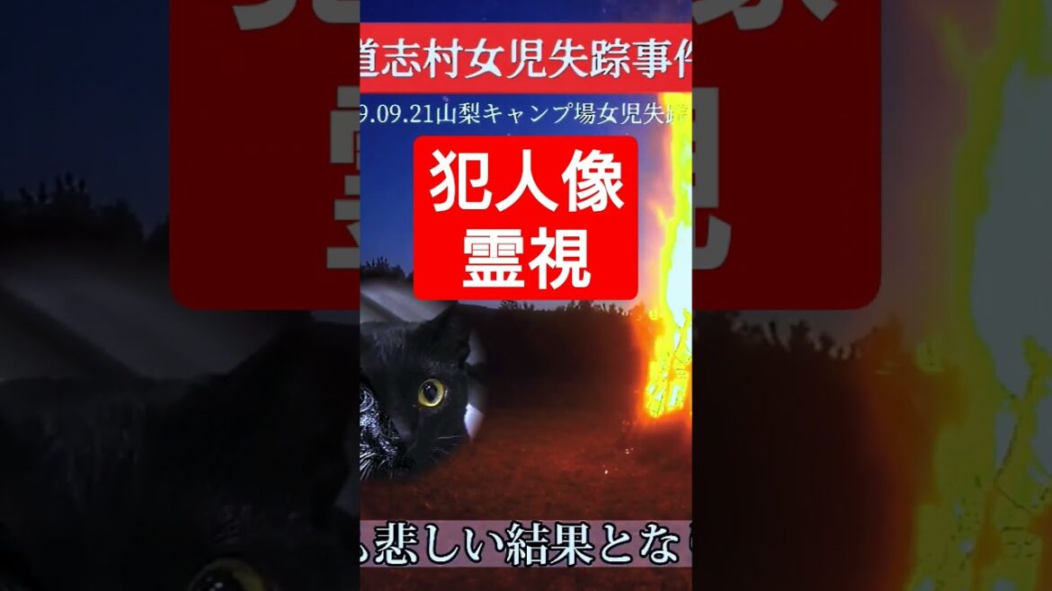 【勝手に霊視!】山梨キャンプ場女児失踪事件の霊視結果。 【勝手に霊視!】山梨キャンプ場女児失踪事件の霊視結果。