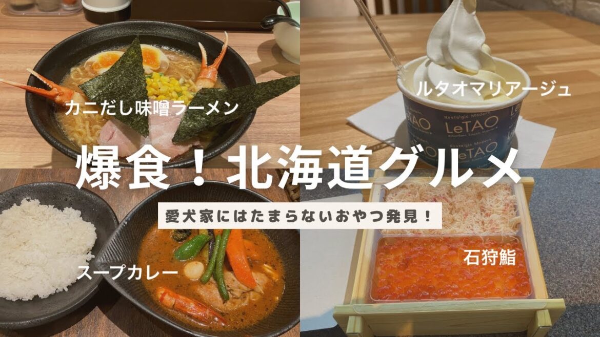 【北海道グルメ】初のプレミアム会員で北海道に飛んできました！今回も新千歳空港グルメをはしごして爆食三昧と、また愛犬に最高の花畑牧場のペットフードを発見！無添加、自社工場にテンション上がりました♪